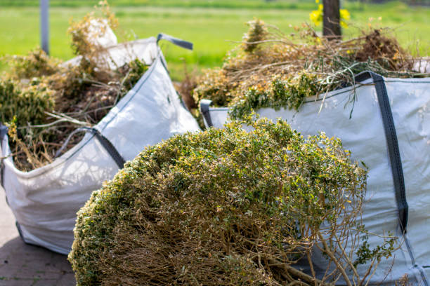 Best Junk Hauling Services  in Upland, IN
